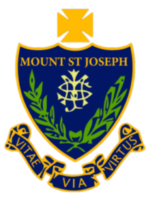 MSJ LOGO No Background