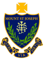 MSJ LOGO No Background MSJ LOGO No Background