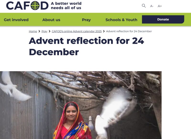 Image for the Tweet beginning: Throughout Advent we are excited